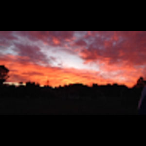 Meet your Posher, Isobel